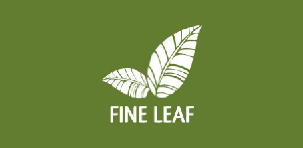 fine-leaf-7767225