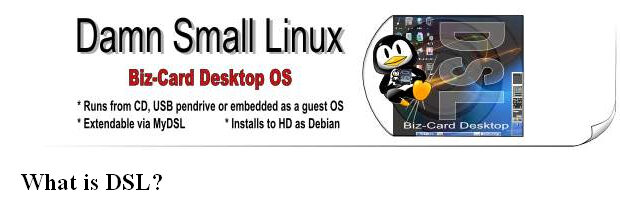 damnsmalllinux-8957934