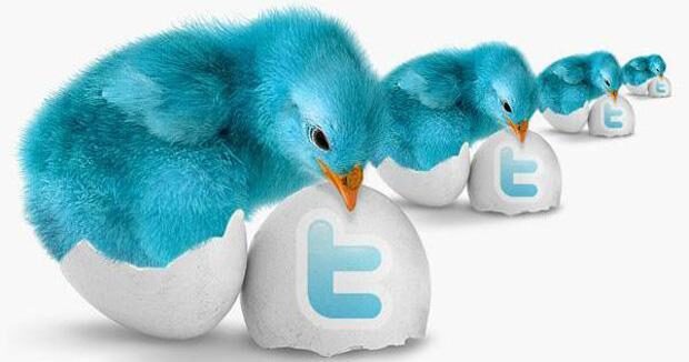 blue-bird-twitter2-3900843